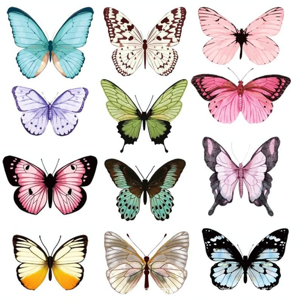 Adhesivos de pared de PVC con  - Art And Craft For Nursery reseña y precio